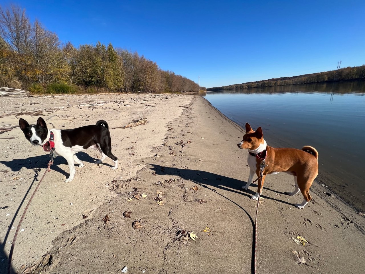 Day 4: Warmest weather yet - photo 6