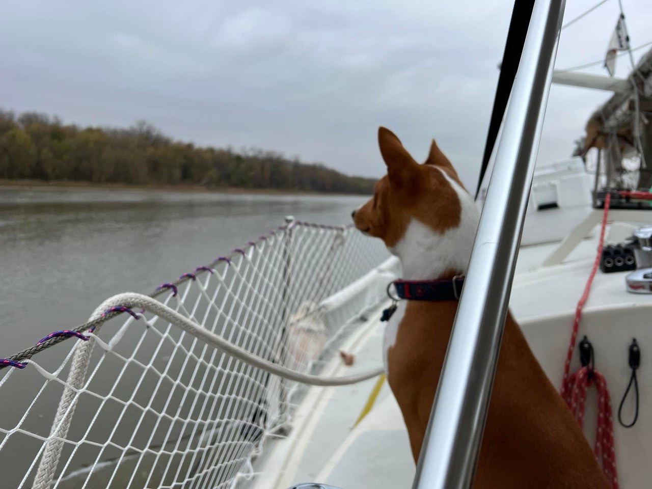 Day 6: Not much to report today, it was rainy and gloomy most of the day. I… - photo 2