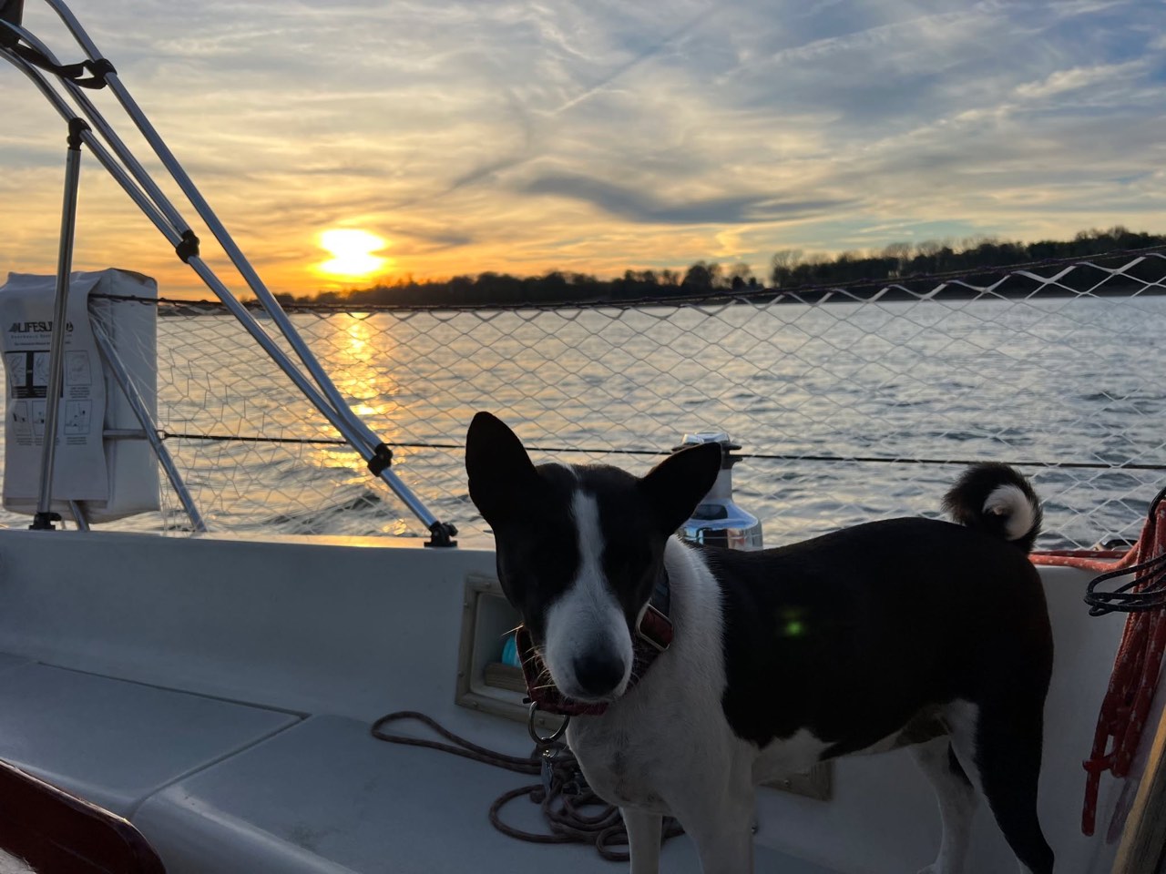 Day 13: The End Of Our Mississippi Adventure - photo 3