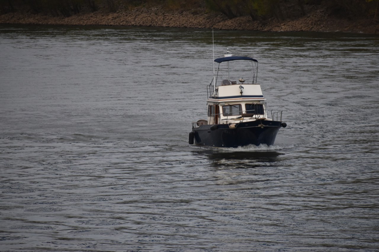 Day 15: Paducah, KY to Green Turtle Bay Marina With a Stowaway - photo 13