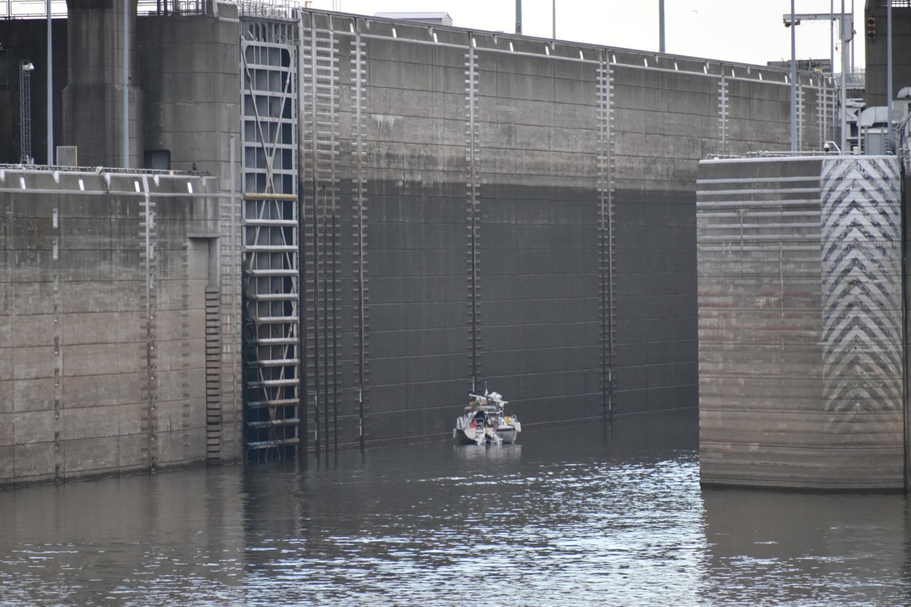 Day 15: Paducah, KY to Green Turtle Bay Marina With a Stowaway - photo 23