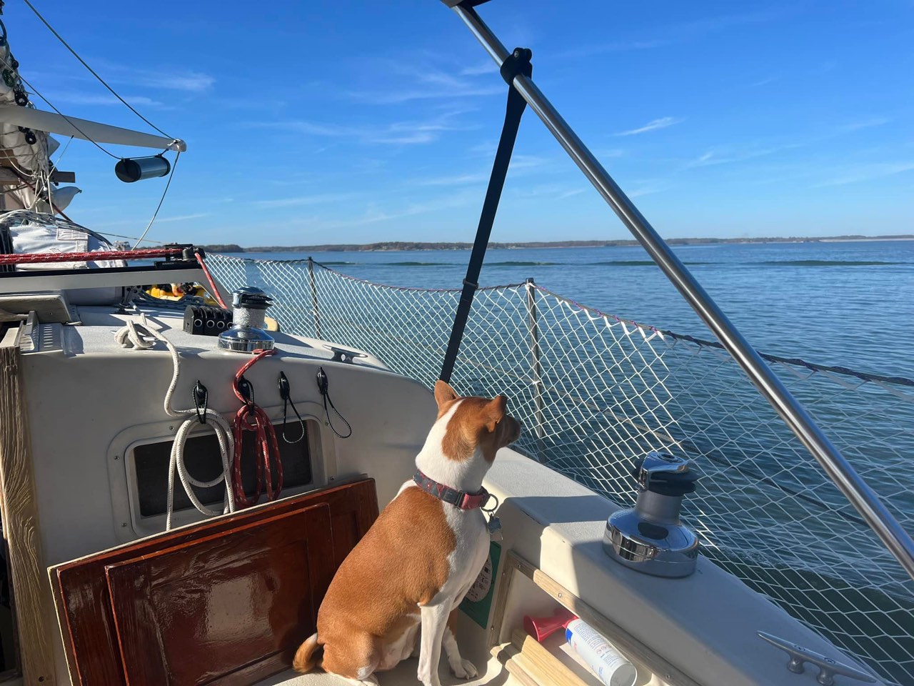 Days 16 & 17: Boat Work Day at Green Turtle Bay then off to Paris Landing - photo 2