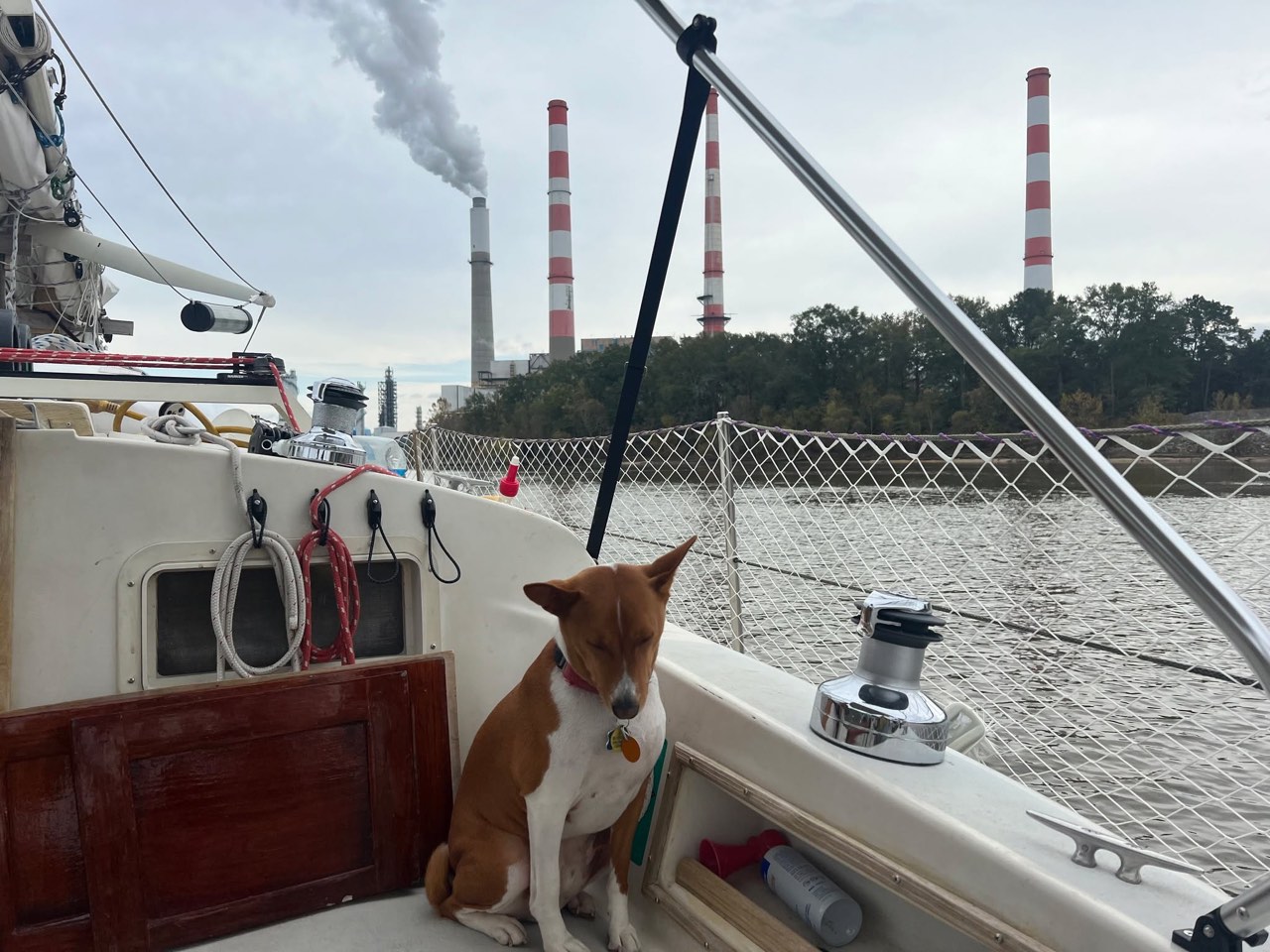 Day 31: Happy Thanksgiving from The Bayou - photo 2
