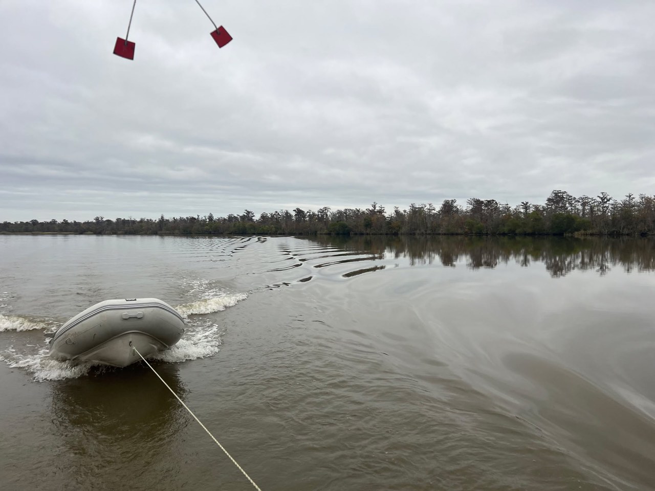 Day 31: Happy Thanksgiving from The Bayou - photo 4