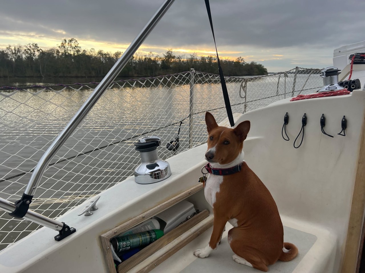 Day 31: Happy Thanksgiving from The Bayou - photo 6