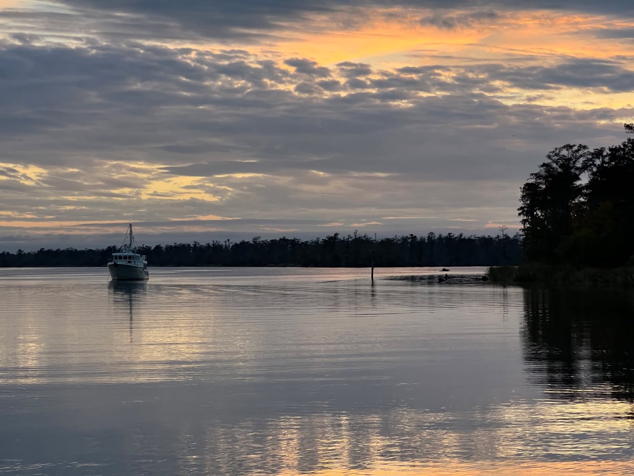 Day 31: Happy Thanksgiving from The Bayou - photo 9