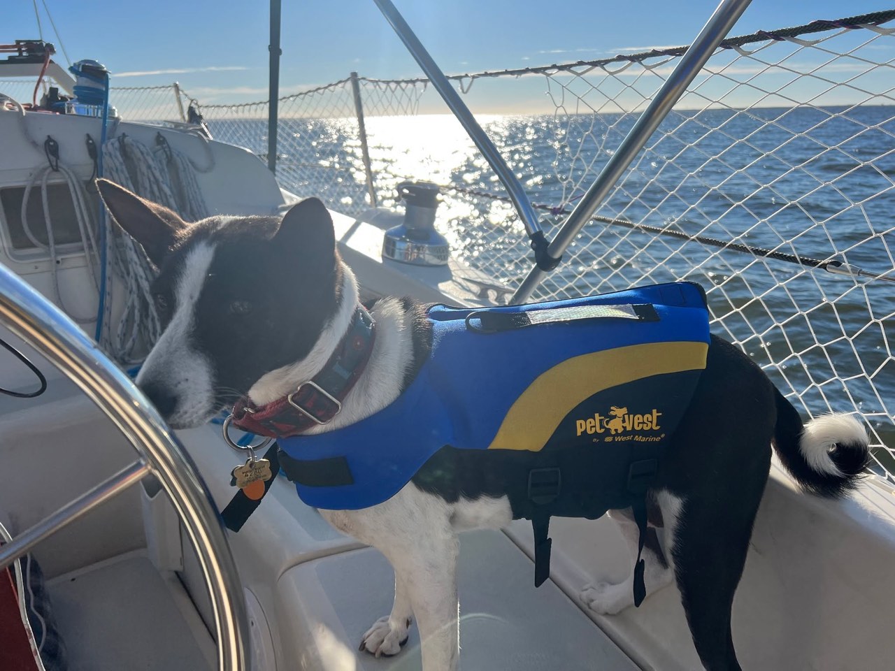 Day 34: Sails go up, smiles come out - photo 6