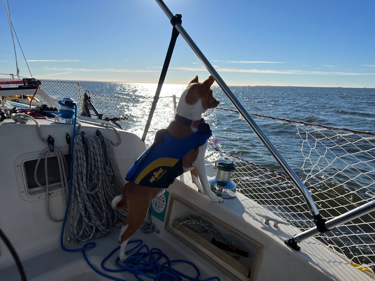 Day 34: Sails go up, smiles come out - photo 7