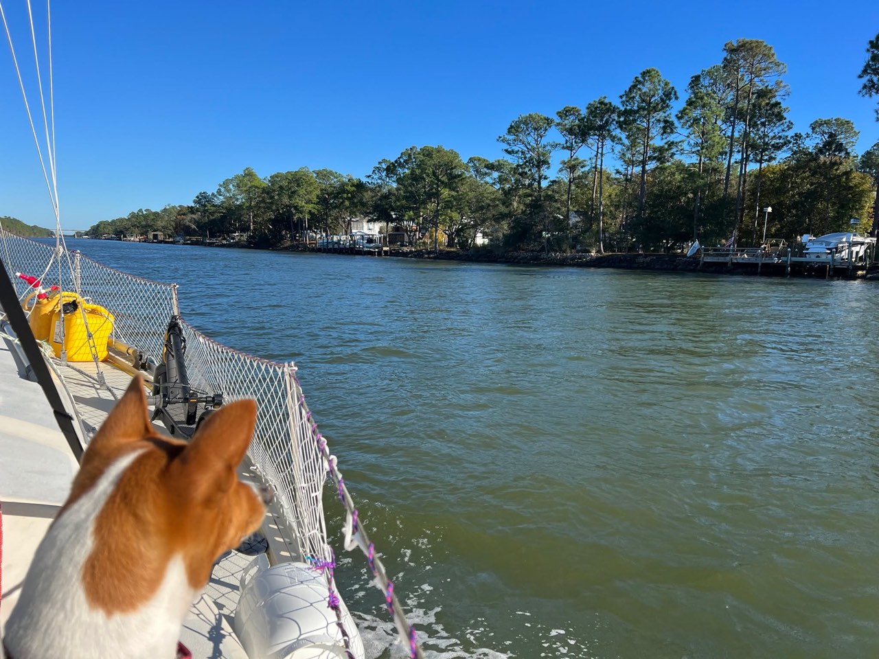 Day 34: Sails go up, smiles come out - photo 10