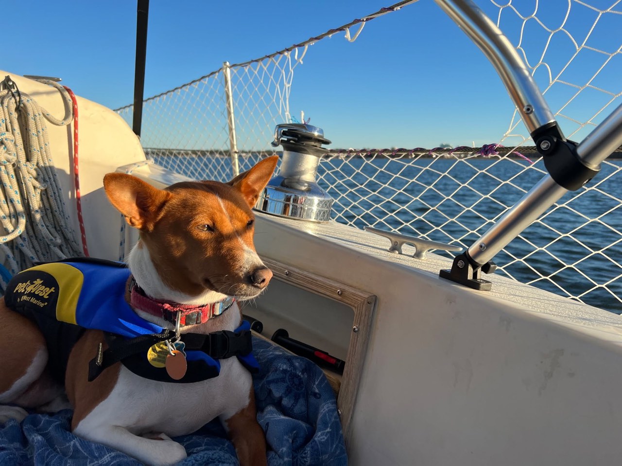 Day 34: Sails go up, smiles come out - photo 12