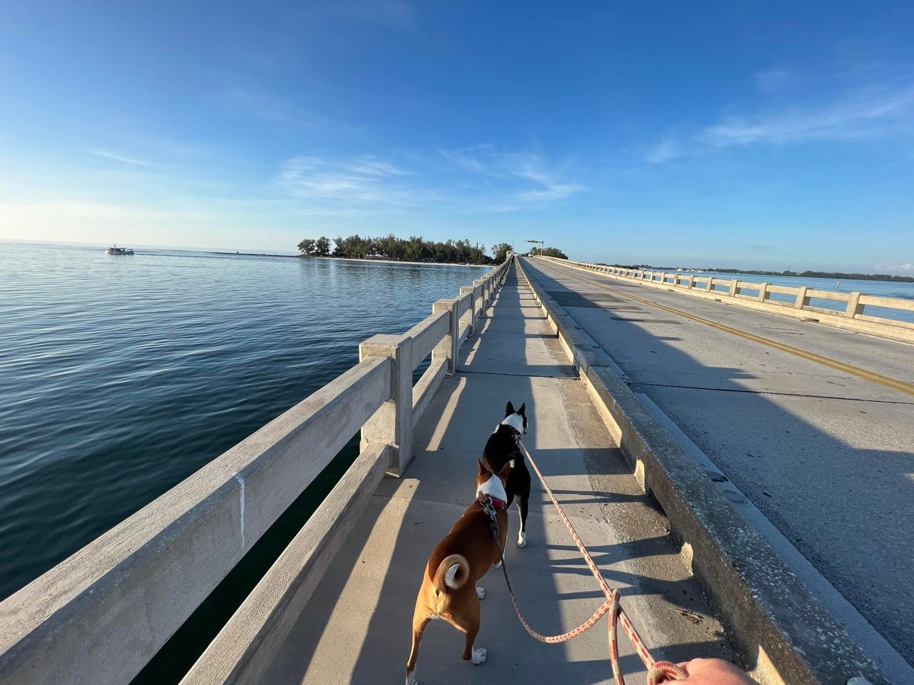 Two days into our stay here on Longboat Key, boy is it nice to just drop… - photo 2
