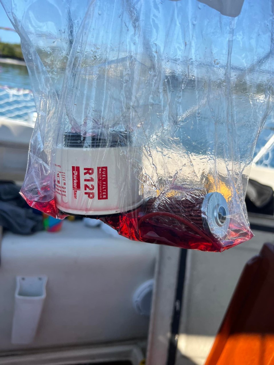Two days into our stay here on Longboat Key, boy is it nice to just drop… - photo 7