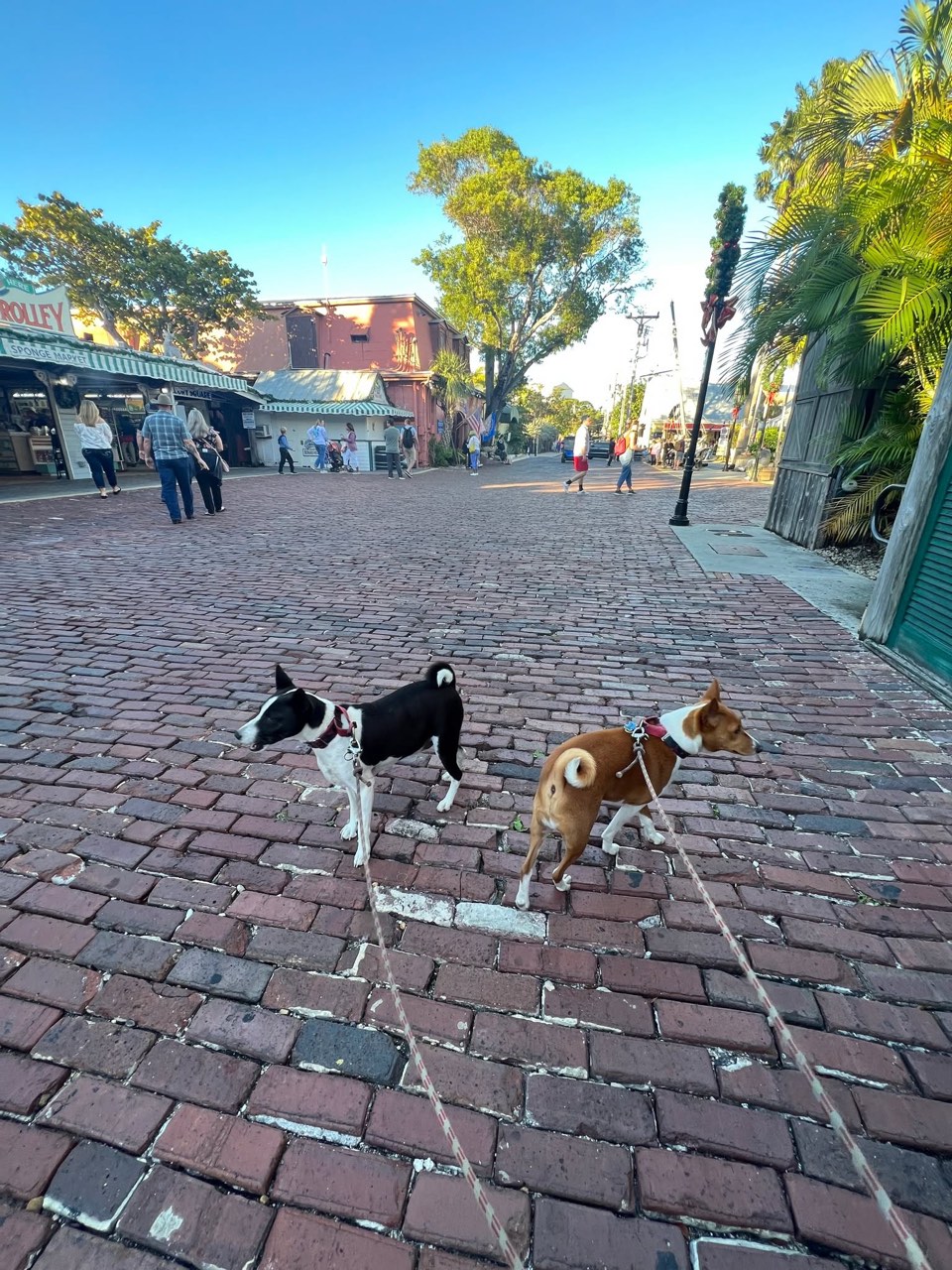 Made it to Key West - photo 7