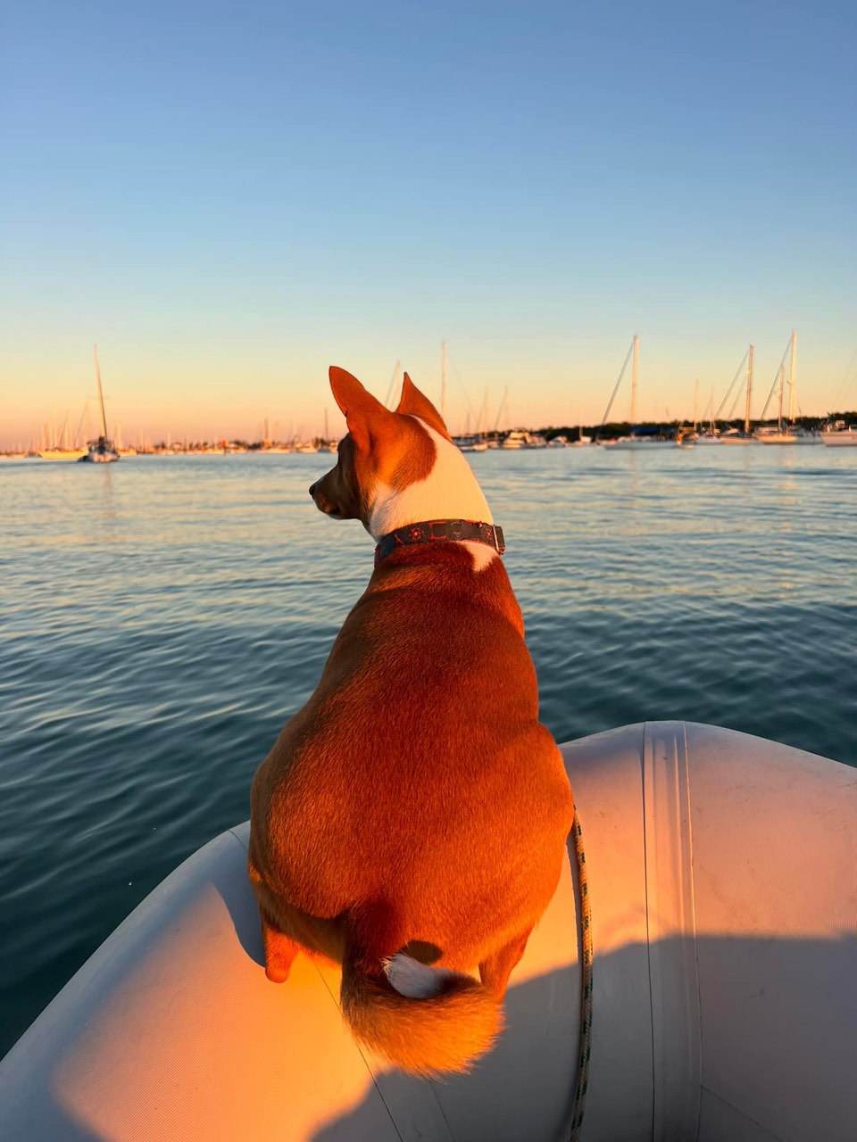 Thoughts on Marathon after the first 24 hours: Seems like a liveaboard… - photo 4