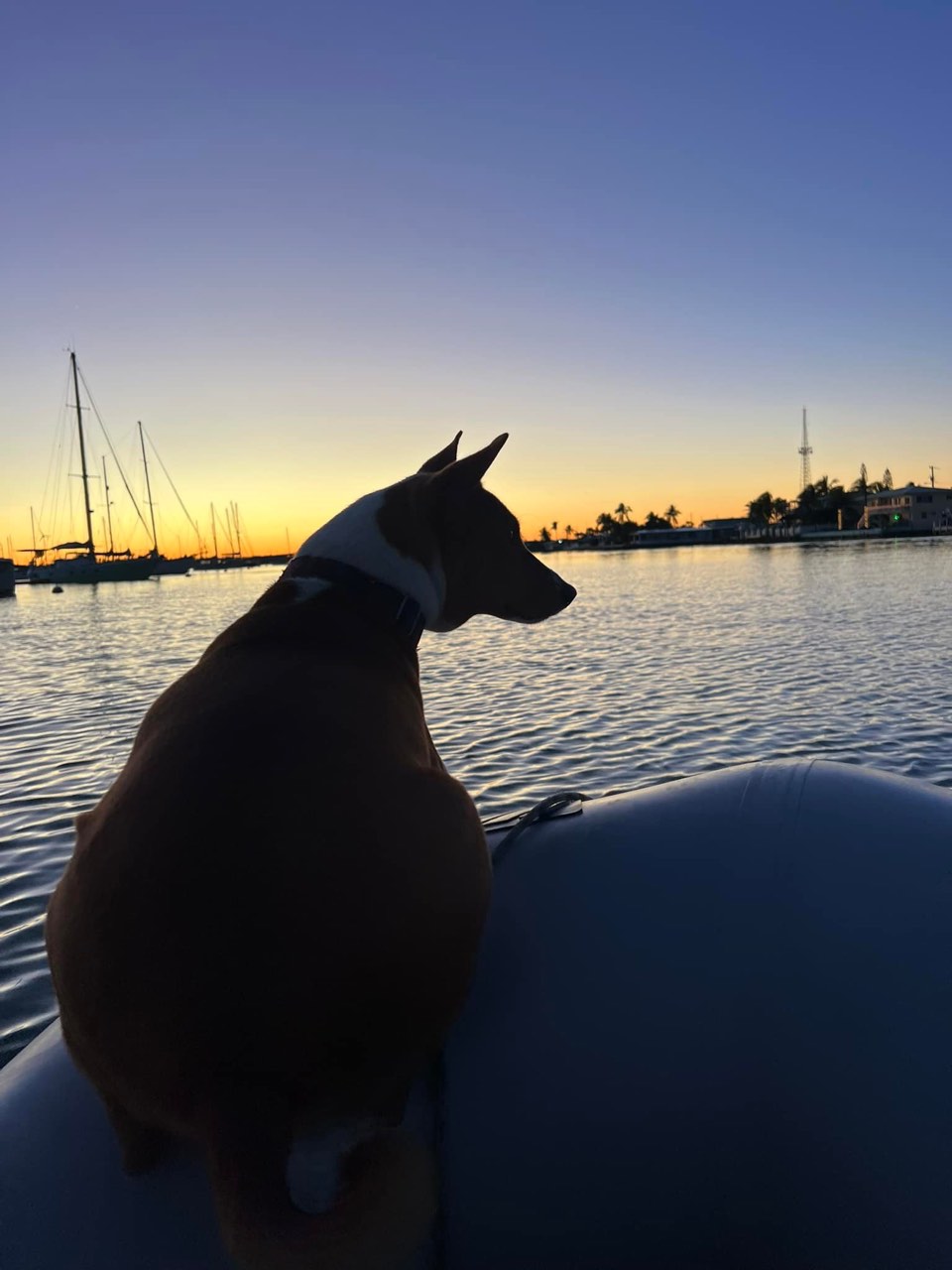 Thoughts on Marathon after the first 24 hours: Seems like a liveaboard… - photo 7