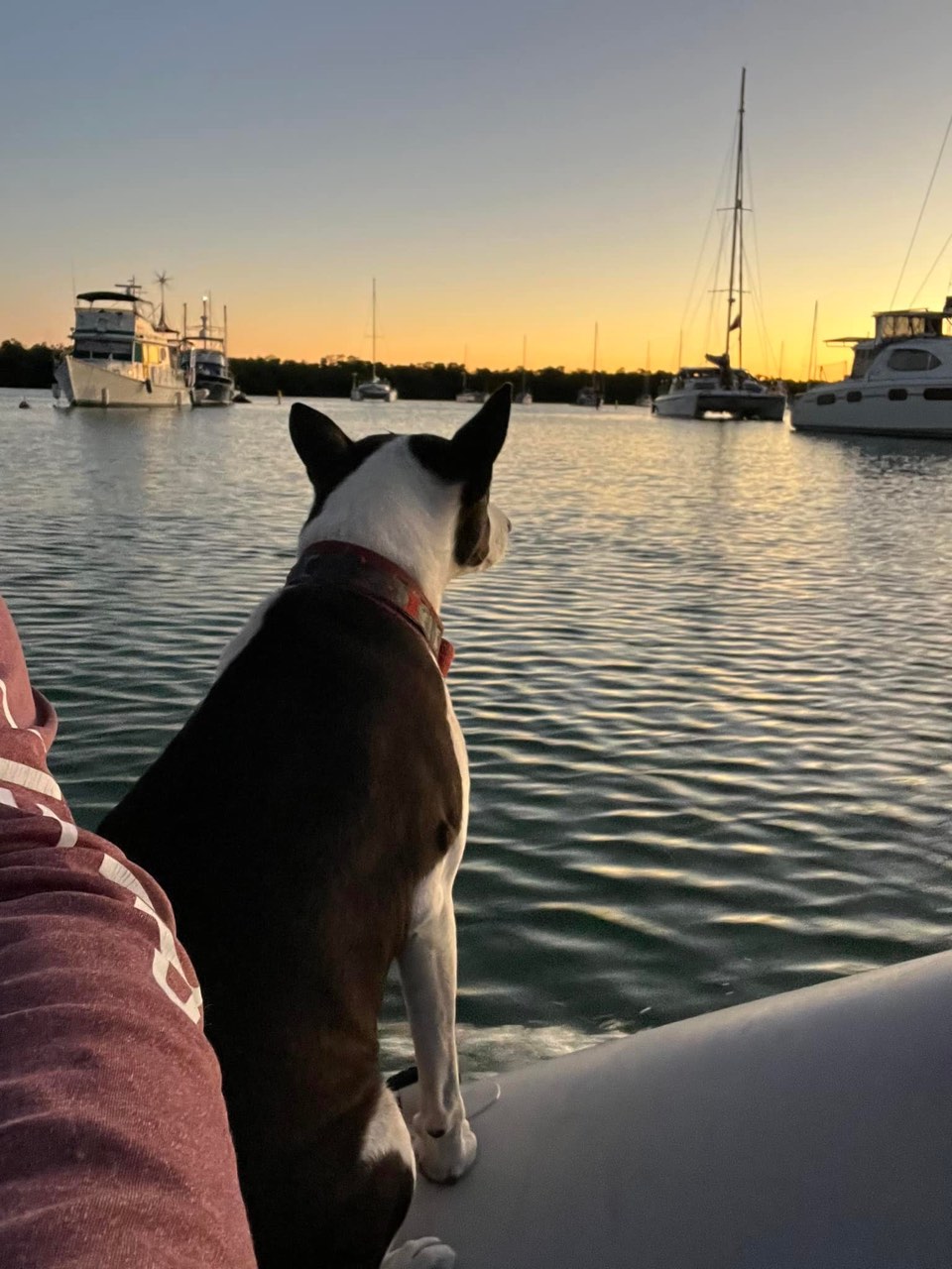 Thoughts on Marathon after the first 24 hours: Seems like a liveaboard… - photo 8