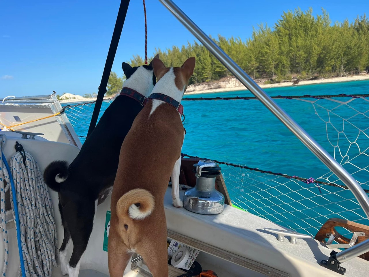 Bosun says: Land Ho - photo 2