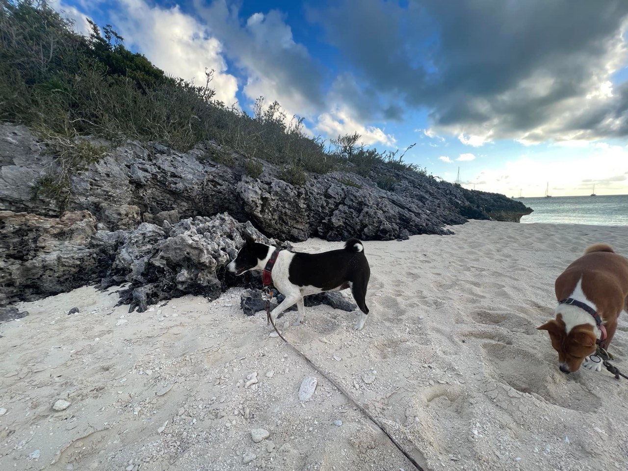 Our last day here in Highbourne Cay, headed south tomorrow - photo 3