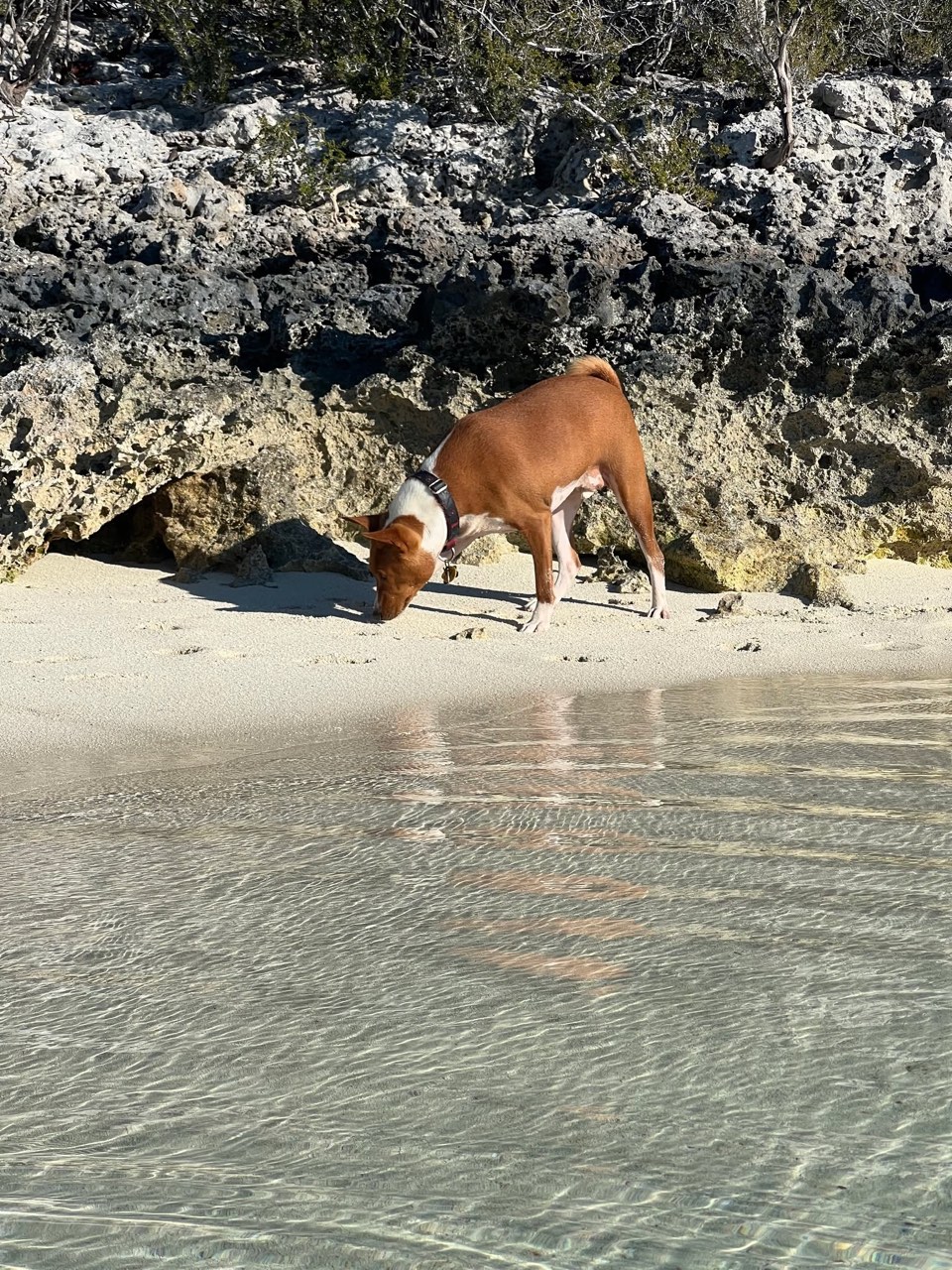 Sunday Funday here in the Exumas - photo 3