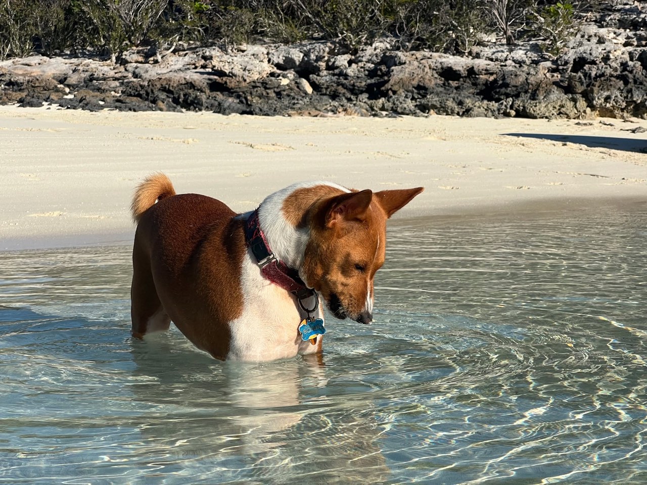 Sunday Funday here in the Exumas - photo 4