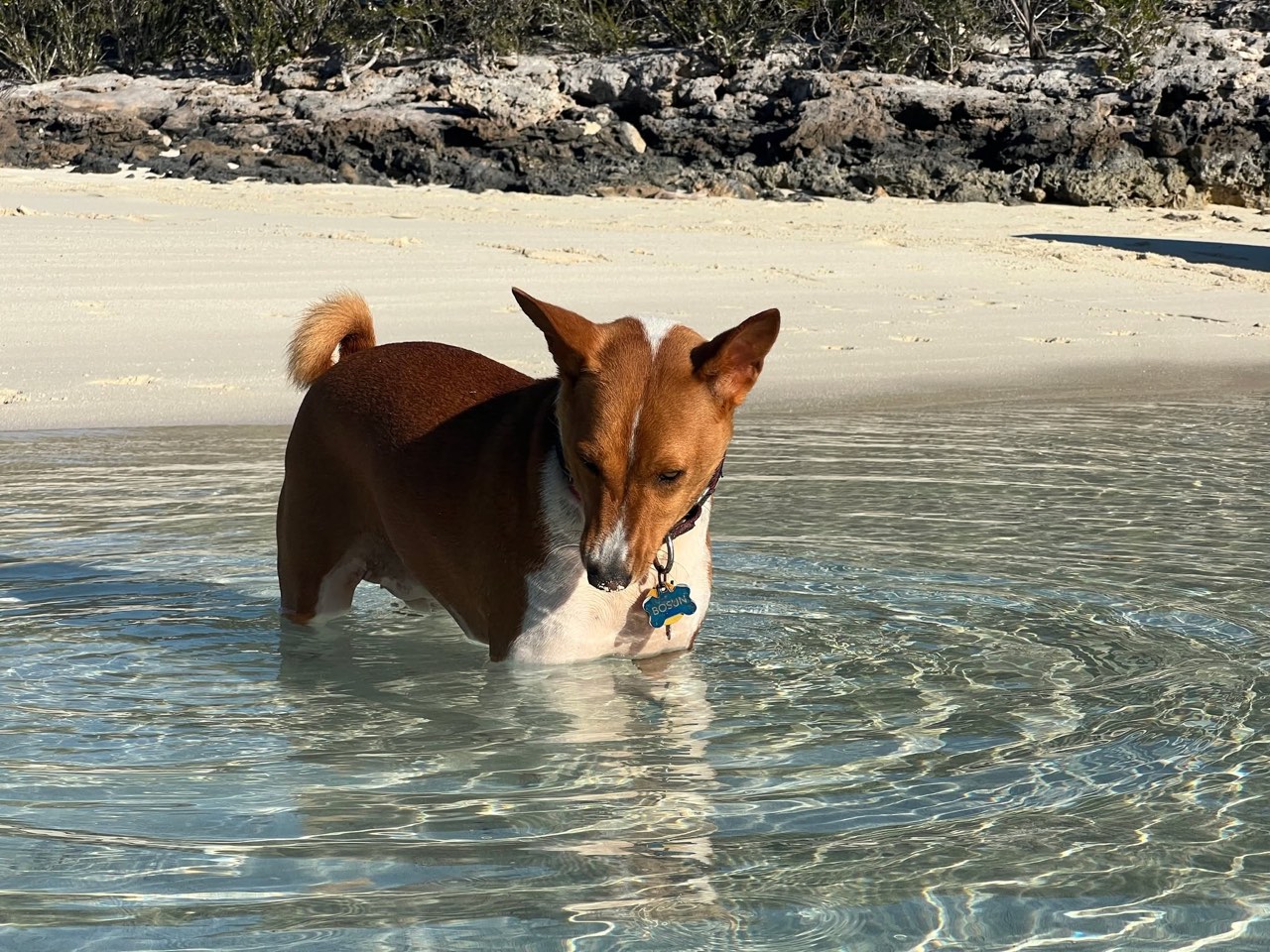 Sunday Funday here in the Exumas - photo 5
