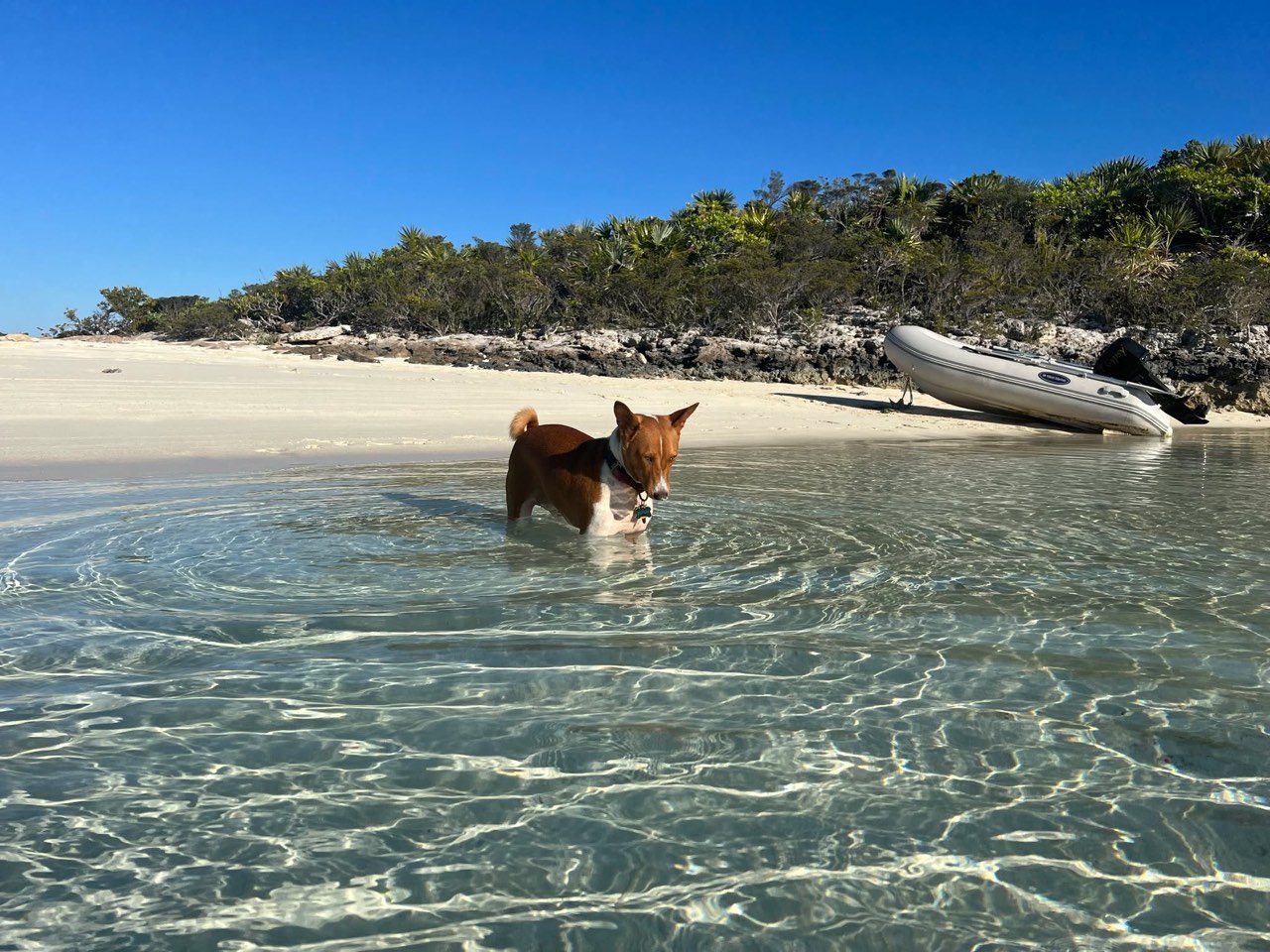 Sunday Funday here in the Exumas - photo 6
