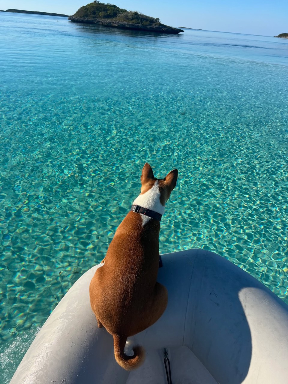 Sunday Funday here in the Exumas - photo 8