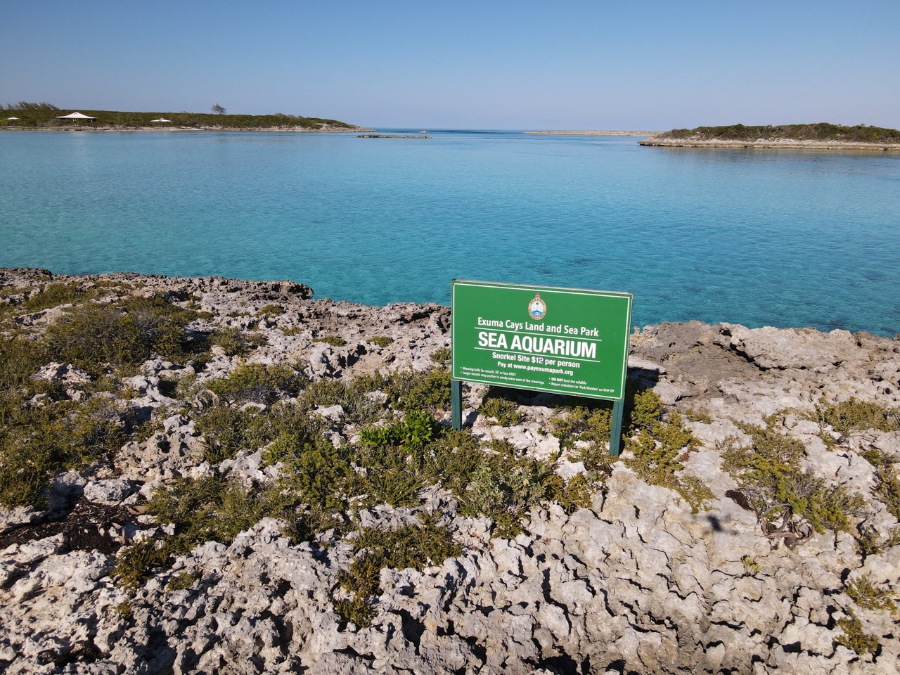 Sunday Funday here in the Exumas - photo 10