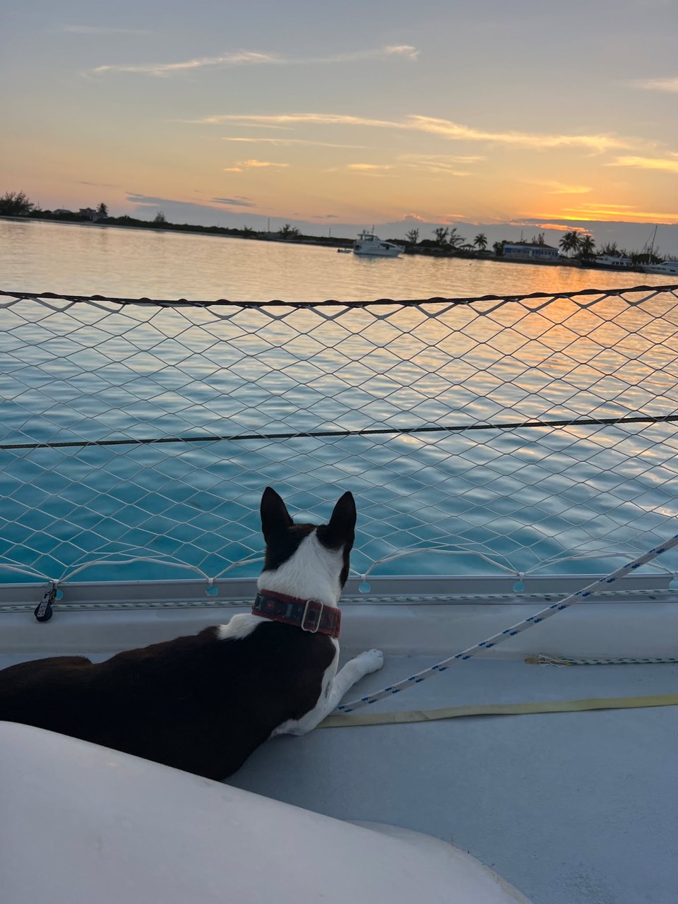 Well, our time is officially coming to an end here in the wonderful Exumas - photo 16