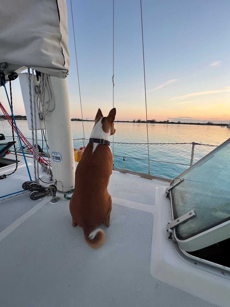 Well, our time is officially coming to an end here in the wonderful Exumas - photo 17