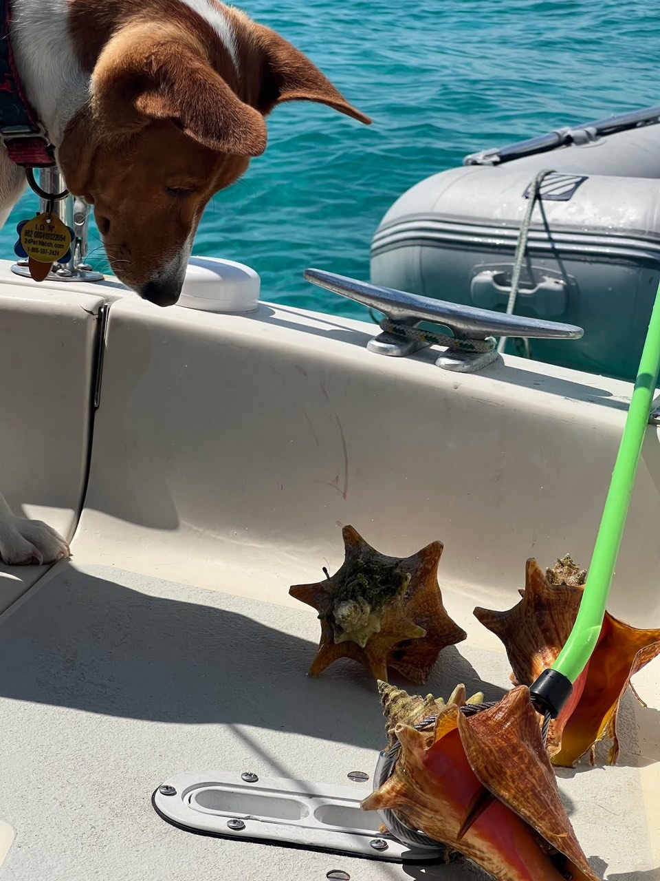 Well, our time is officially coming to an end here in the wonderful Exumas - photo 18