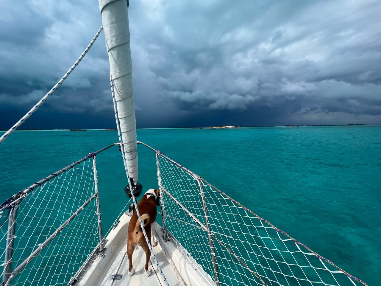 Well, our time is officially coming to an end here in the wonderful Exumas - photo 19