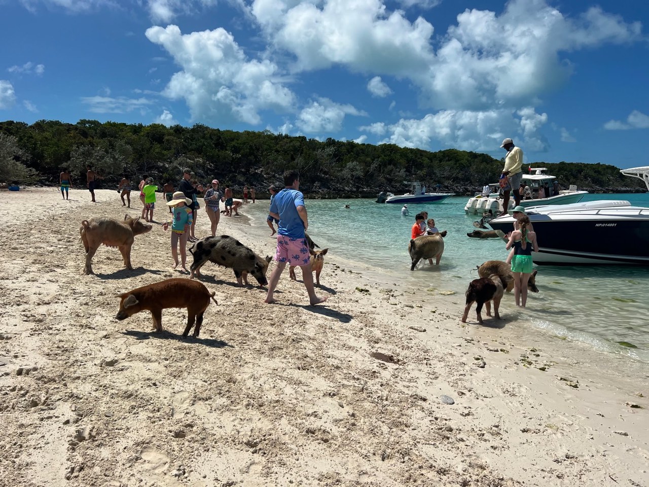 Well, our time is officially coming to an end here in the wonderful Exumas - photo 25