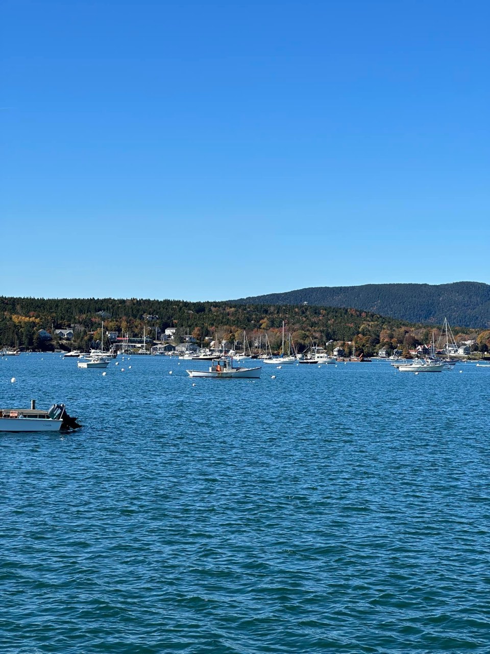 I was up in Maine this week for a road rally, which means I had to stop by… - photo 6