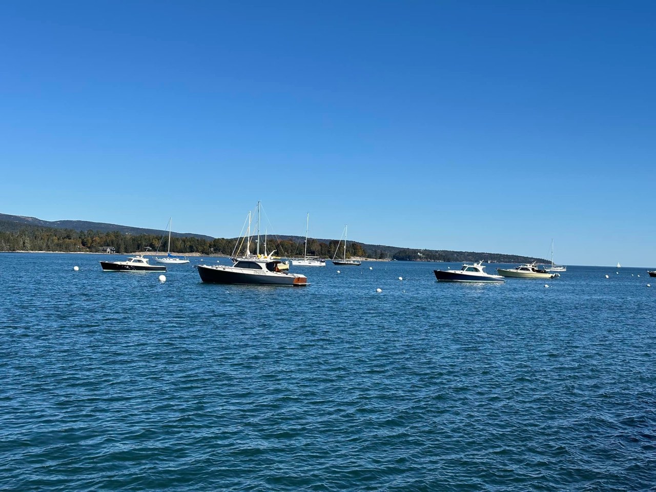 I was up in Maine this week for a road rally, which means I had to stop by… - photo 7