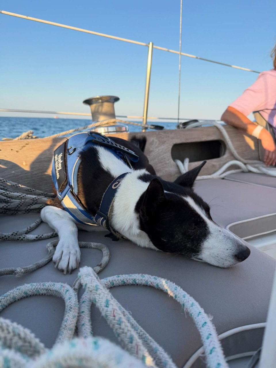 A quick week at home, by July 8 she was hauled out and I was back in the road… - photo 2